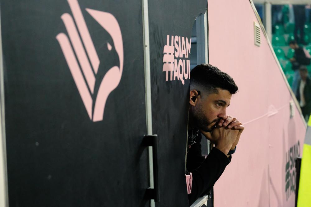 alt=