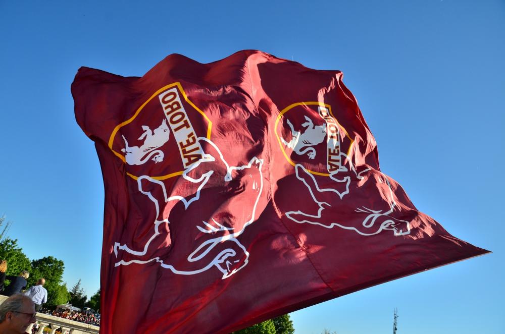 Commemorazione Grande Toro, 65 anniversario stage di Superga - 04/05/2014 - bandiera del Torino