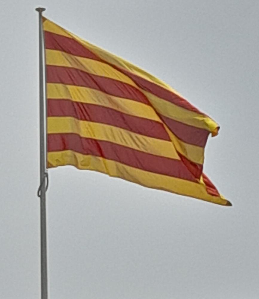 alt=
