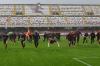Salerno, Salernitana-Atalanta-Campionato Serie A 2022/23
Nella foto: la Salernitana festeggia a fine gara