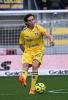 Frosinone-Reggiana
Ilario Monterisi 