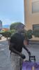 Raduno Frosinone
Gabriele BracagliaFrancesco GelliFilippo GrossoBen Lhassine KoneAntonio RaimondoAnthony OyonoJeremy Oyono e Anthony OyonoAlejandro CicheroWisdom AmeySeydou FiniSergio KalajRenzo CastagniniPiero DoronzoNiccolò CorradoMuhammed ColleyMatteo PisseriMatteo CichellaMassimiliano AlviniLorenzo PalmisaniLorenzo GoriLorenzo BefaniKevin BarcellaJacopo GelliIlias KoutsoupiasIlias Koutsoupias e Ilario MonterisiIlias KoutsoupiasIlario MonterisiGiorgio CittadiniGiorgi KvernadzeGiacomo CalòGabriele Calvani