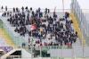 Fiorentina-Cremonese  (1)