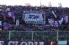 Fiorentina-Hellas Verona  (1)