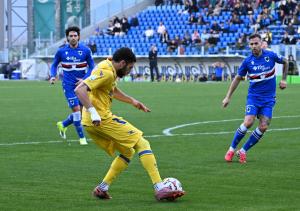 Frosinone-Sampdoria
Fares Ghedjemis