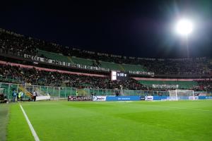 Palermo, Serie B 2024/2025, Palermo-Frosinone 2-0, Stadio Renzo Barbera /foto Federico Serra/, nella foto: Tifosi Palermo