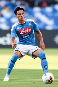 Napoli-Sampdoria 2-0 