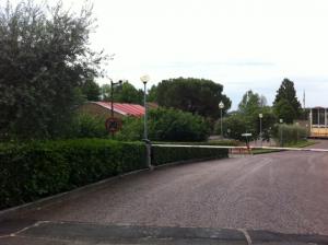 Allenamento Nazionale Italiana  (2)