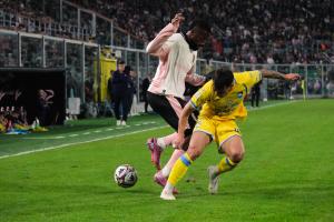 Palermo, Italy, 1 November 2025. Renzo Barbera Stadium, Palermo vs Pescara, match valid for the 2025/2026 Serie B championship. In the photo: Salim Diakite' (Palermo FC)