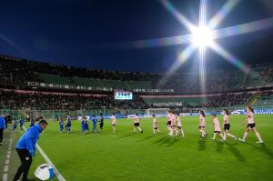 Palermo, Serie B 2024/2025, Palermo-Carrarese 1-1, Stadio Renzo Barbera /foto Federico Serra/, nella foto: Tifosi Palermo