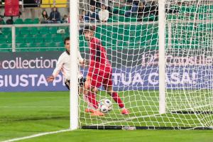 Palermo, Italia, 1 novembre 2025. Stadio Renzo Barbera, Palermo vs Pescara, match valido per il campionato di Serie B 2025/2026. Nella foto: Gol Jacopo Segre (Palermo FC)
