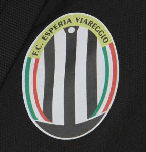 Benevento-Viareggio 2-0 