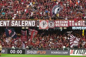 Salernitana-Torino 0-3 