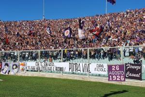 Fiorentina-Hellas Verona 2-0  (2)