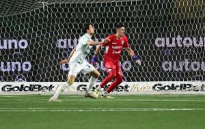 Avellino-Frosinone 1-3