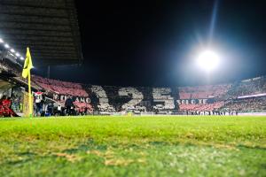 Palermo, Italia, 1 novembre 2025. Stadio Renzo Barbera, Palermo vs Pescara, match valido per il campionato di Serie B 2025/2026. Nella foto: Coereografia Tifosi del Palermo