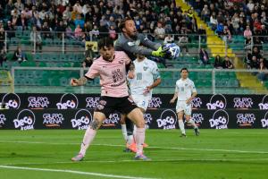 Palermo, Serie B 2024/2025, Palermo-Carrarese 1-1, Stadio Renzo Barbera /foto Federico Serra/, nella foto: Matteo Brunori
