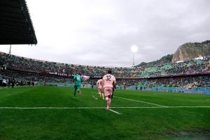 Palermo, Italy, 14 February 2026. Renzo Barbera Stadium, Palermo vs Virtus Entella, match valid for the 2025/2026 Serie B championship. In the photo: Palermo FC vs Virtus Entella