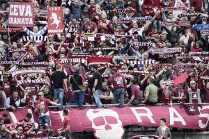 Sassuolo-Torino 1-1 
