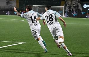 Avellino-Frosinone 1-3