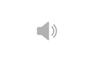 TMW News Audio