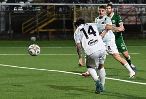 Avellino-Frosinone 1-3