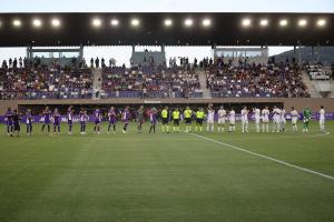 Fiorentina-Carrarese 2-0 