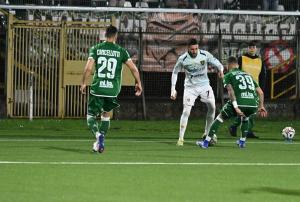 Avellino-Frosinone 1-3