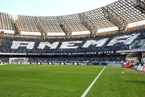 Napoli-Fiorentina 2-1 