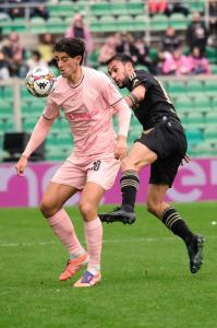 Palermo, Italy, 14 February 2026. Renzo Barbera Stadium, Palermo vs Virtus Entella, match valid for the 2025/2026 Serie B championship. In the photo: Filippo Ranocchia (Palermo FC) and Luigi Cuppone (Virtus Entella)
