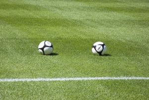 Verona-Pescara 2-2 