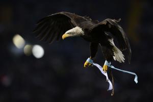 Lazio-Juventus 1-1  (1)