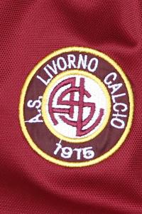 Salernitana-Livorno 3-1 