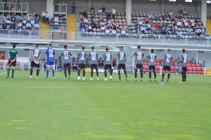 Alessandria-Albinoleffe 2-2 