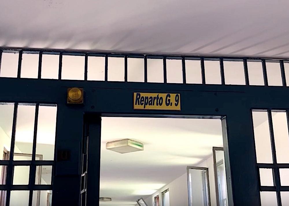 alt=