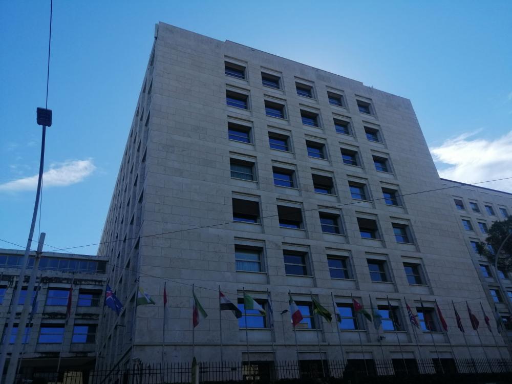 alt=