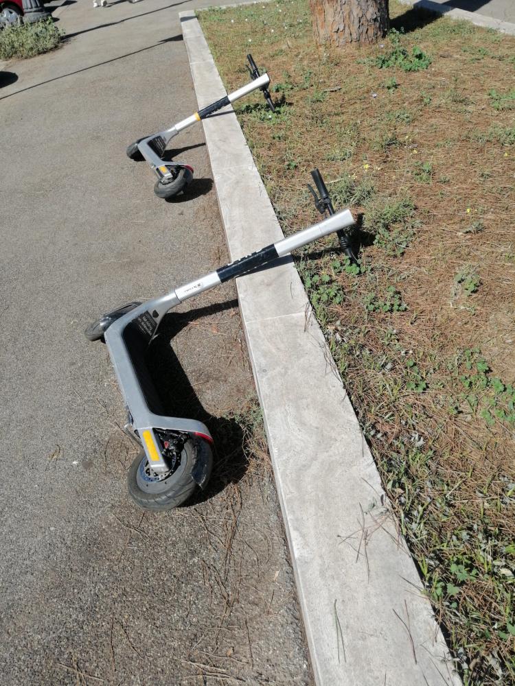 alt=